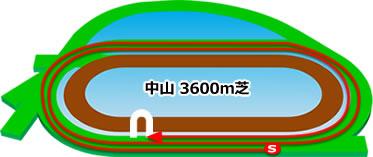 中山競馬場の芝3600mコース