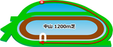 中山競馬場の芝1200mコース