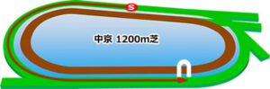 中京競馬場の芝1200mコース
