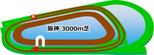 阪神競馬場の芝3000mコース
